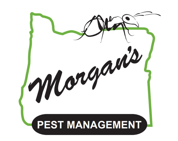 Avatar for Morgan's Pest Management